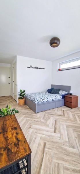 Modern & Convenient Studio